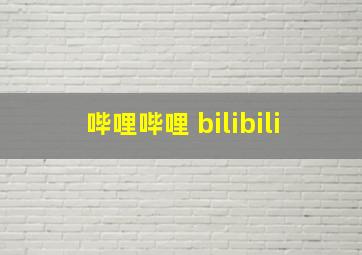 哔哩哔哩 bilibili